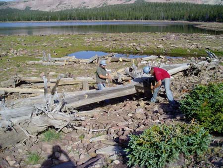 04-Clements Lake Stabilization, crosscut saws and axes, hand tools were used to cut logs for manageable removal and piling