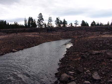 Kidney Lake field photos (7)