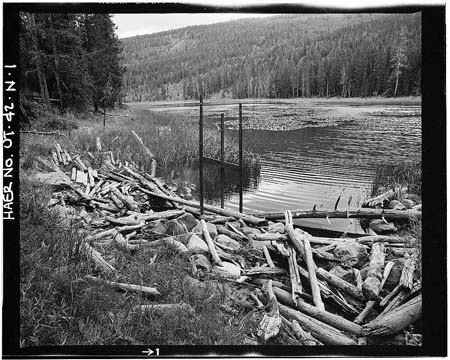 HAER photo of Water Lily Lake, upstream face of dam and upright inoperable outlet gate, July 1985