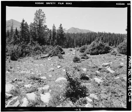 HAER photo of downstream face of White Miller Lake Dam, July 1985