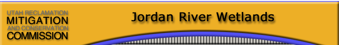 Jordan River Wetlands